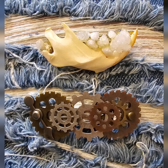 2x Barrettes ~ Oddities & Curiosities Style - Picture 4 of 4